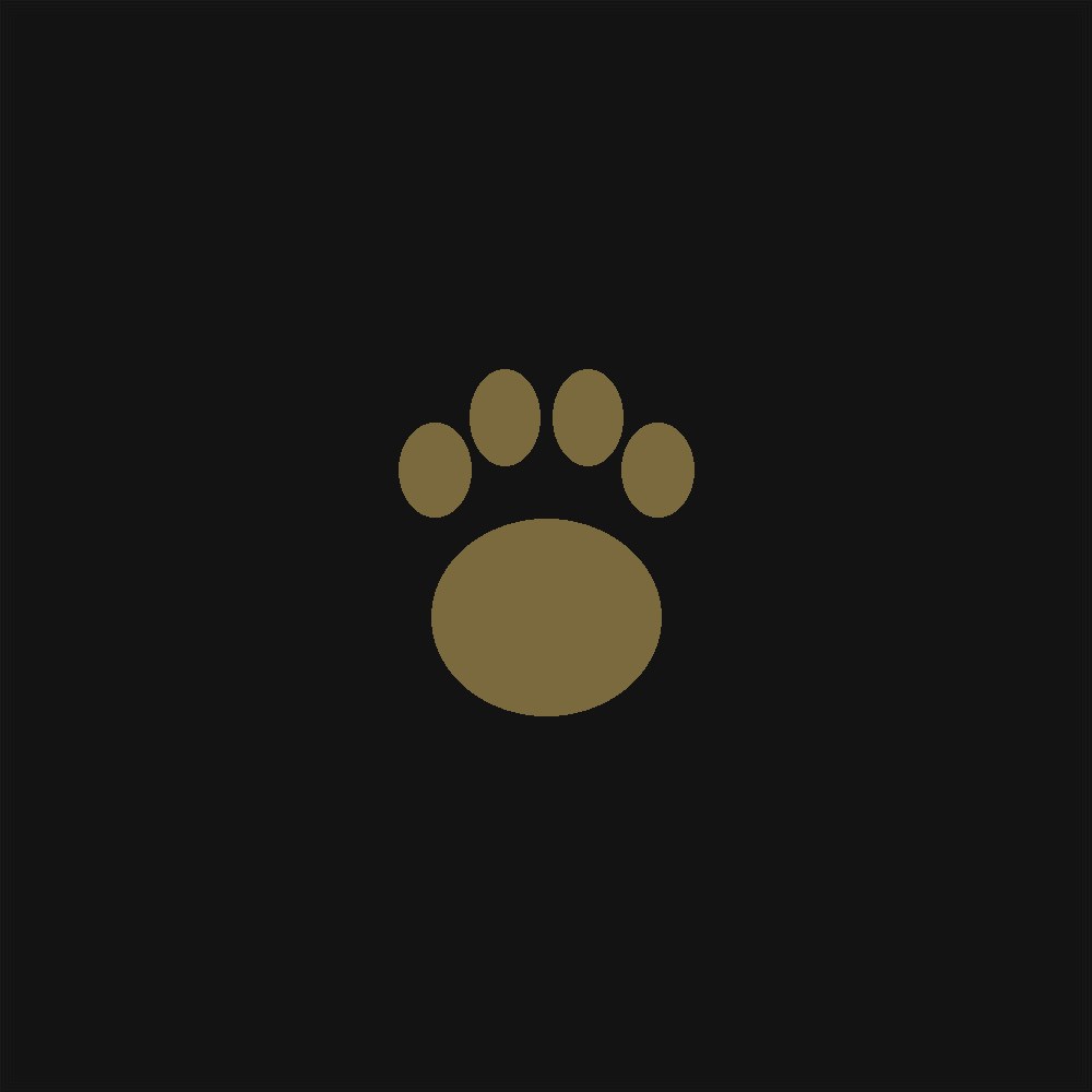 Felino — Exolinez Stud (photo coming soon)