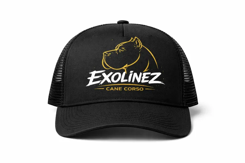 Exolinez Trucker Hat — black mesh-back snapback with gold Corso outline and white wordmark